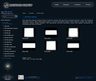 Сайт продукции компании RAYGLER